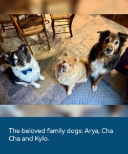 The beloved family dogs; Arya, Cha Cha, and Kylo