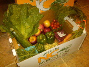 The Produce Box: a box of fresh veggies and fruit delivered weekly