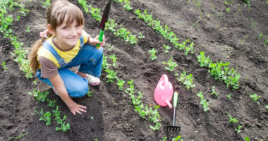 A Little Girl Gardening