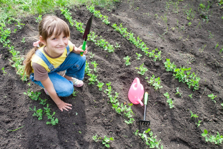 8 Surprising Health Benefits Of Gardening Unc Health Talk