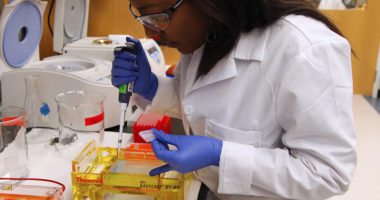 Researchers implicate genetic locus on chromosome 12