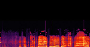 Spectrogram of an infant cry provided by Elizabeth Cox-Lippard