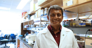 Aravinda de Silva