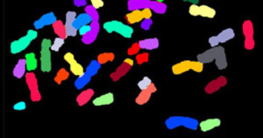 Color-coded chromosomes. Image source: NIGMS