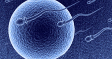 Illustrated here are images of sperm and egg. Image source: NIH.