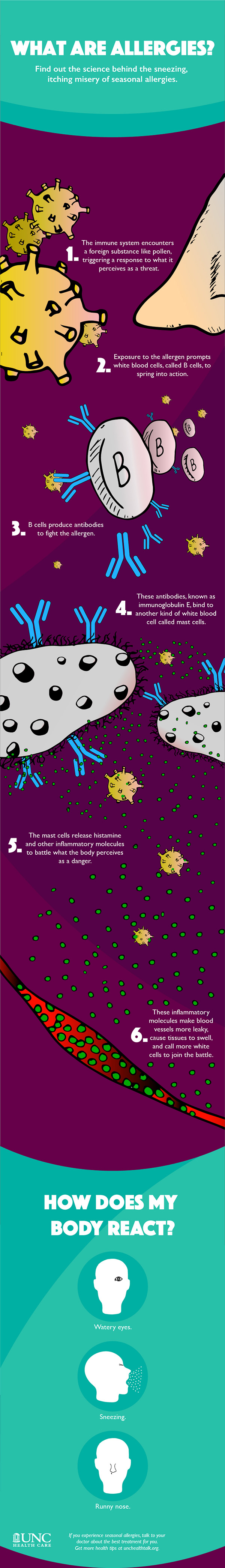 What Are Allergies And Why Do They Make You Feel So Bad UNC Health Talk