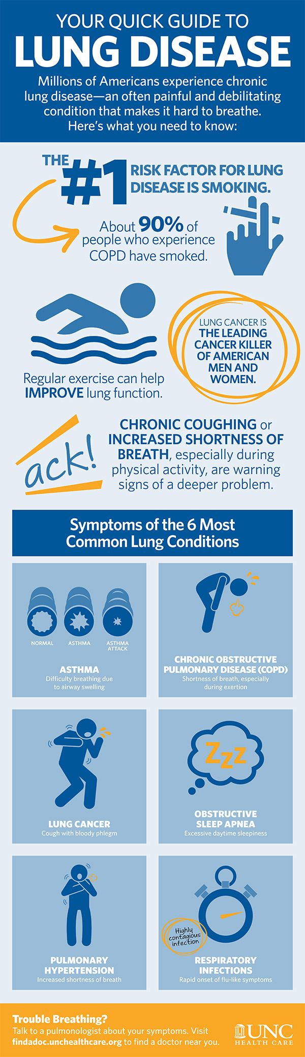 lung disease infographic