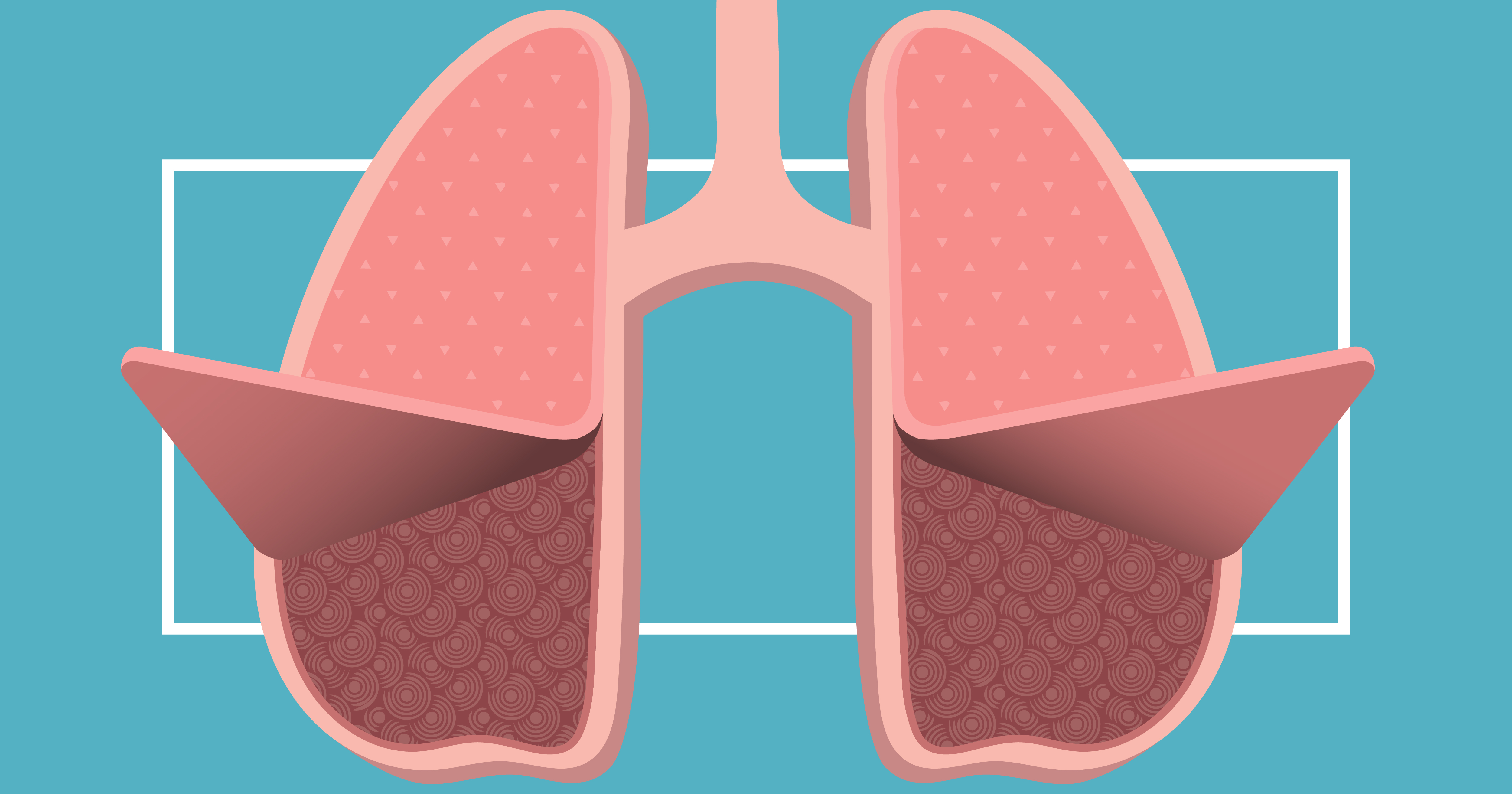 how-does-chronic-obstructive-pulmonary-disease-affect-the-lungs-copd