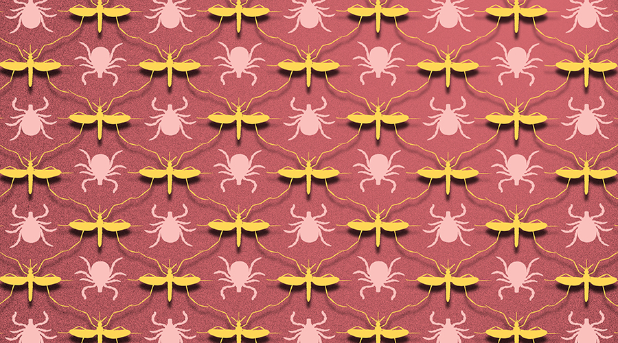Mosquito/tic pattern