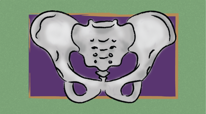 Graphic of pelvic bone