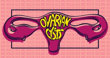 drawing of female reproductive organs