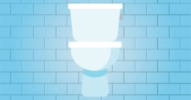 graphic of a toilet against a brick wall
