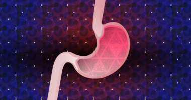 graphic of a stomach organ with prismatic background