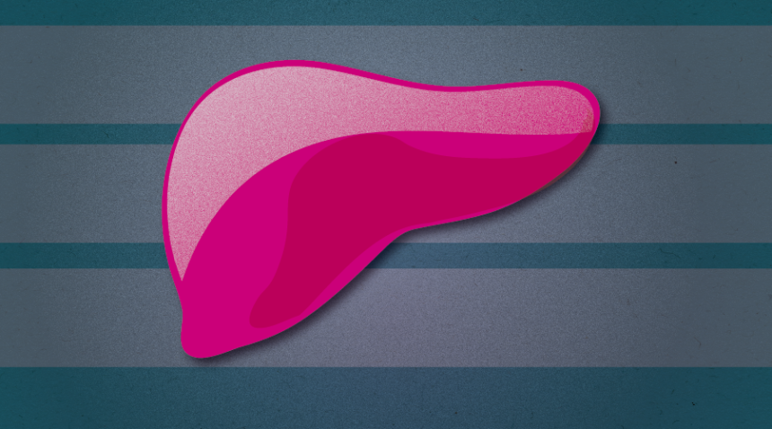 Cartoon image of a liver