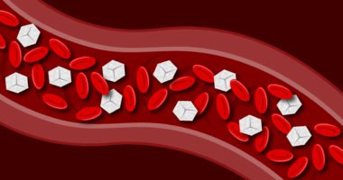 cellular level of blood in veins with sugar cubes next to red blood cells