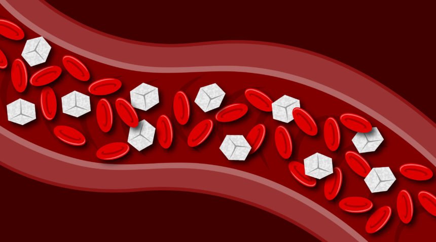cellular level of blood in veins with sugar cubes next to red blood cells