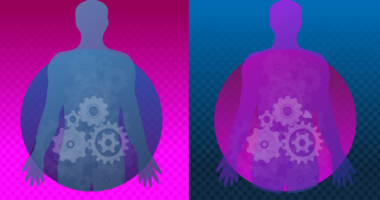 Illustration of two human figures with gears showing the machinery of the body concept