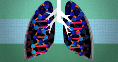 Illustration of lungs with DNA helixes.