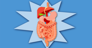 Illustration of the digestive system with gears making it work.
