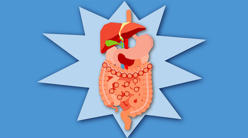 UNC researchers help create key diagnostic measures for gastrointestinal  disorders | UNC Health Talk