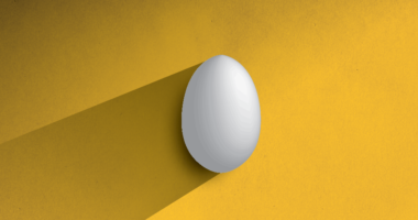 Illustration of an egg