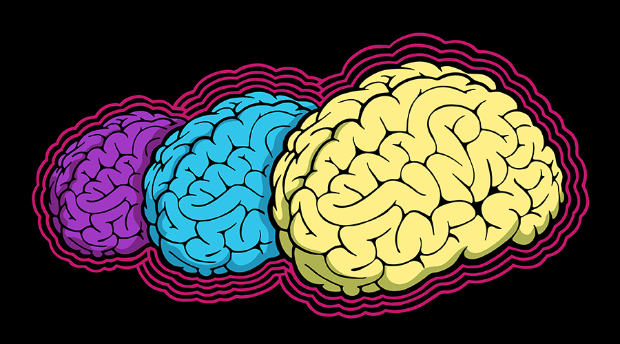 Research: autistic children's brains grow larger during ...