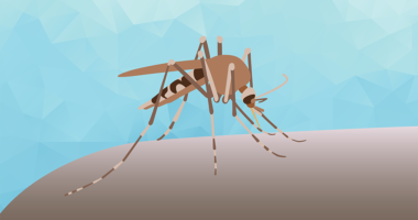 Illustration of a mosquito.
