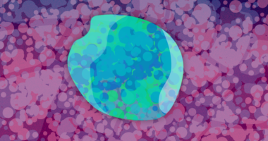 An artistic (non-medical) illustration of an islet cell.