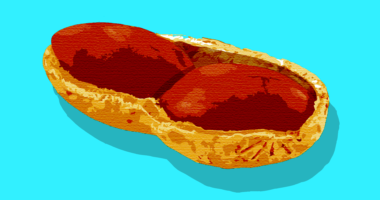 shelled peanut