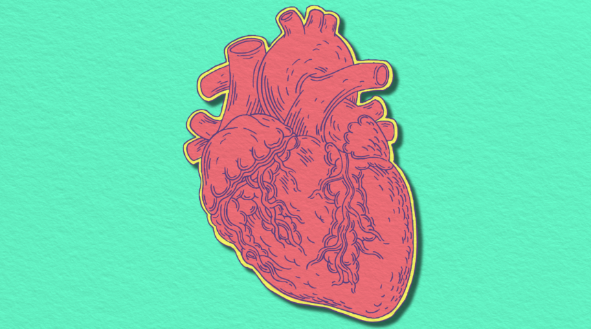 illustration of heart organic