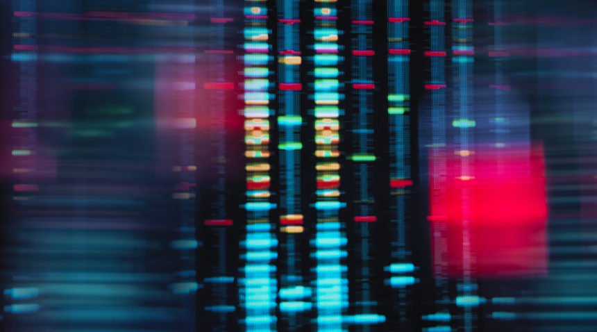 Digital screen showing DNA profile match
