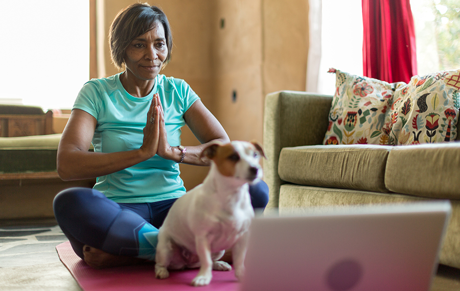 woman doing yoga with an on-line tutorial from her laptop during Covid Lockdown, dog looks on