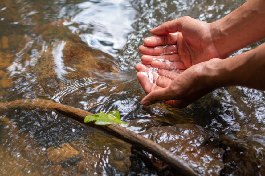 close-up of a person scooping water in their hands out of a stream