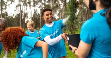 friendly volunteers lift a tree to be planted into the ground