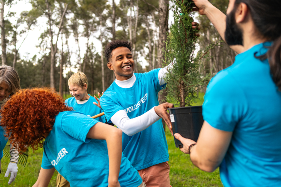 friendly volunteers lift a tree to be planted into the ground