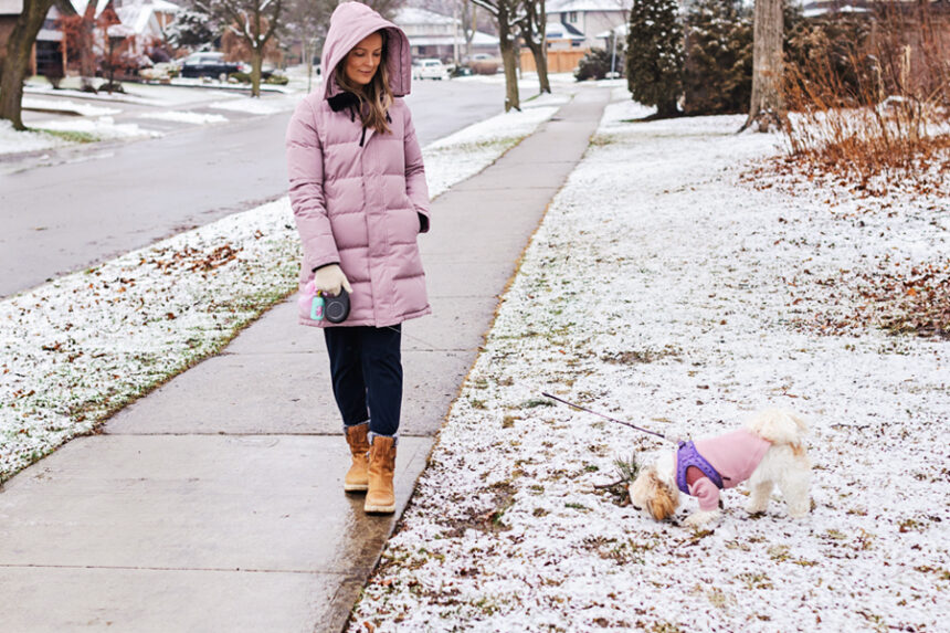 A woman walks her dog along a snowy sidewalk in a residential neighborhood.