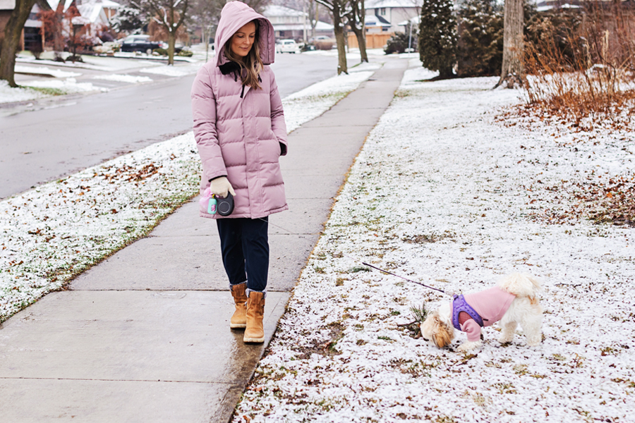 A woman walks her dog along a snowy sidewalk in a residential neighborhood.