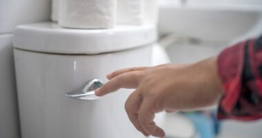 hand reaches to the toilet lever in order to flush the toilet
