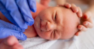 Newborn